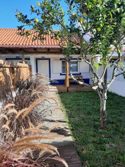 Sado House 3 Vila Comporta Exterior foto